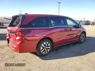 2025 Honda Odyssey EX-L with VIN 5FNRL6H61SB017789, listed as a Copart auction lot 84016174 with 262 mi miles and Salvage Title. Bid and sale history available at carsss.com. Image 3.