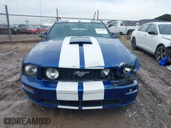 2009 Ford Mustang GT with VIN 1ZVHT82HX95119781, listed as a IAAI auction lot 41482288 with 70,757 mi miles and . Bid and sale history available at DreamBid. Image 12.