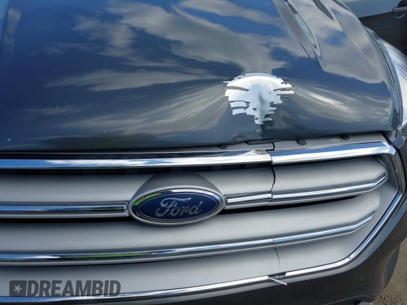 2019 Ford Escape SE z VIN 1FMCU9GD7KUA00132, wystawiony jako IAAI lot #41973998 z przebiegiem 89 327 mil mil oraz . Historia ofert i sprzedaży dostępna na DreamBid. Obrazek 6.
