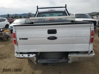 2014 Ford F-150 XL with VIN 1FTMF1CM9EKG07580, listed as a Copart auction lot 47233885 with 125,955 mi miles and Salvage Title. Bid and sale history available at carsss.com. Image 6.