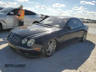 2002 Mercedes-Benz CL AMG with VIN WDBPJ73J02A021435, listed as a Copart auction lot 77801194 with Not Provided miles and Salvage Title. Bid and sale history available at carsss.com. Image 1.