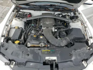 2010 Ford Mustang GT with VIN 1ZVBP8FH6A5158120, listed as a Copart auction lot 56406595 with 114,341 mi miles and Salvage title. Bid and sale history available at DreamBid. Image 11.