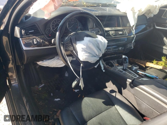 2015 BMW 5 Series 528i xDrive with VIN WBA5A7C55FD620599, listed as a Copart auction lot 74997904 with 119,474 mi miles and Salvage title. Bid and sale history available at DreamBid. Image 8.