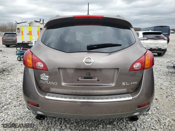 2010 Nissan Murano SL with VIN JN8AZ1MW9AW126133, listed as a Copart auction lot 53648625 with 51,334 mi miles and Clean Title. Bid and sale history available at carsss.com. Image 6.