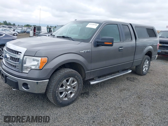2013 Ford F-150 XL with VIN 1FTFX1EF3DFC95705, listed as a IAAI auction lot 42120940 with 118,955 mi miles. Bid and sale history available at carsss.com. Image 17.