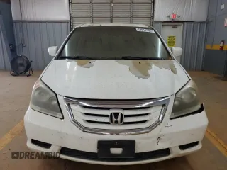 2010 Honda Odyssey EX-L with VIN 5FNRL3H65AB037699, listed as a Copart auction lot 53512905 with 234,337 mi miles and Salvage Title. Bid and sale history available at DreamBid. Image 5.
