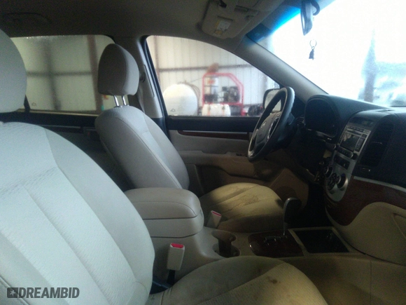 2009 Hyundai Santa Fe GLS with VIN 5NMSG13D89H247806, listed as a IAAI auction lot 40909738 with 169,151 mi miles. Bid and sale history available at carsss.com. Image 5.
