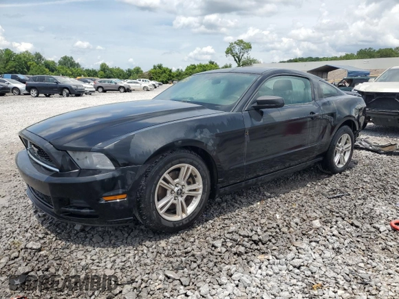 2013 Ford Mustang V6 с VIN 1ZVBP8AM5D5231065, выставлен на аукционе Copart как лот 60609505 с пробегом 228 509 миль миль и Списание • Salvage title. История ставок и продаж доступна на DreamBid. Изображение 1.