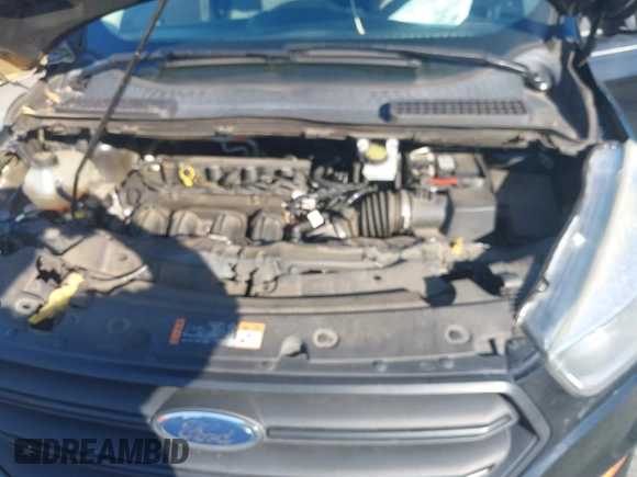 2017 Ford Escape S with VIN 1FMCU0F72HUD48601, listed as a IAAI auction lot 42511659 with 157,244 mi miles and . Bid and sale history available at DreamBid. Image 10.