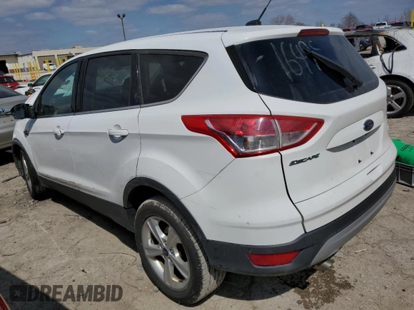 2015 Ford Escape SE with VIN 1FMCU0G75FUC75249, listed as a Copart auction lot 52960175 with 169,584 mi miles and Salvage Title. Bid and sale history available at carsss.com. Image 2.