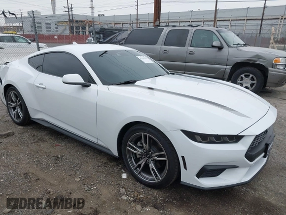 2024 Ford Mustang EcoBoost z VIN 1FA6P8TH3R5109662, wystawiony jako IAAI lot #42164383 z przebiegiem 3 336 mil mil oraz . Historia ofert i sprzedaży dostępna na DreamBid. Obrazek 1.