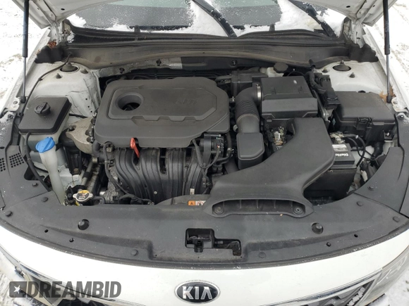 2019 Kia Optima LX with VIN 5XXGT4L31KG369860, listed as a Copart auction lot 45542435 with 126,119 mi miles and Salvage Title. Bid and sale history available at carsss.com. Image 11.