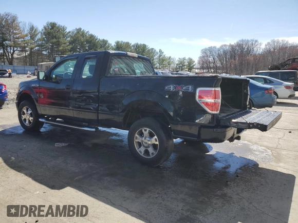 2009 Ford F-150 STX with VIN 1FTRX14899KC91625, listed as a Copart auction lot 49863945 with 203,946 mi miles and Salvage Title. Bid and sale history available at DreamBid. Image 2.