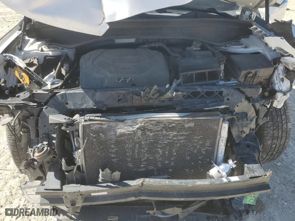 2020 Hyundai Palisade SEL with VIN KM8R24HE5LU036140, listed as a Copart auction lot 46286995 with 81,632 mi miles and Salvage Title. Bid and sale history available at carsss.com. Image 12.