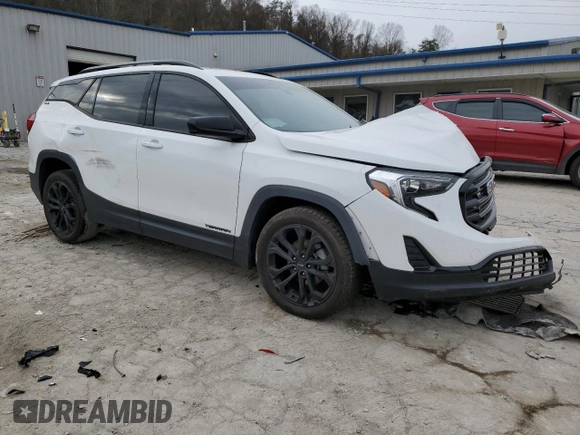 2020 GMC Terrain SLE with VIN 3GKALTEVXLL222431, listed as a Copart auction lot 80990714 with 69,204 mi miles and Salvage title. Bid and sale history available at DreamBid. Image 4.
