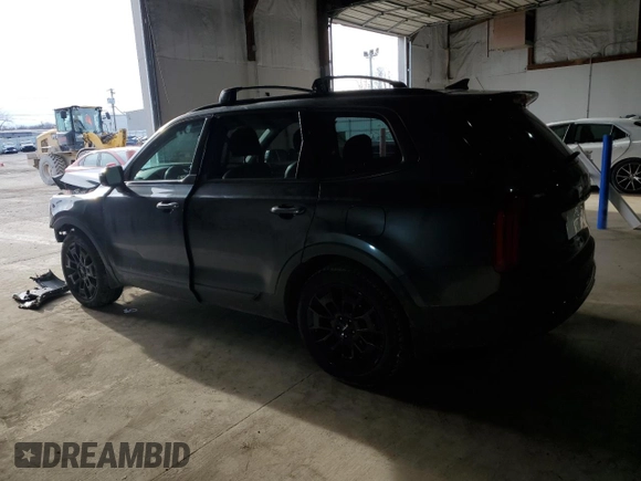 2022 Kia Telluride SX with VIN 5XYP5DHC9NG193935, listed as a Copart auction lot 46589285 with 85,217 mi miles and Salvage title. Bid and sale history available at DreamBid. Image 2.