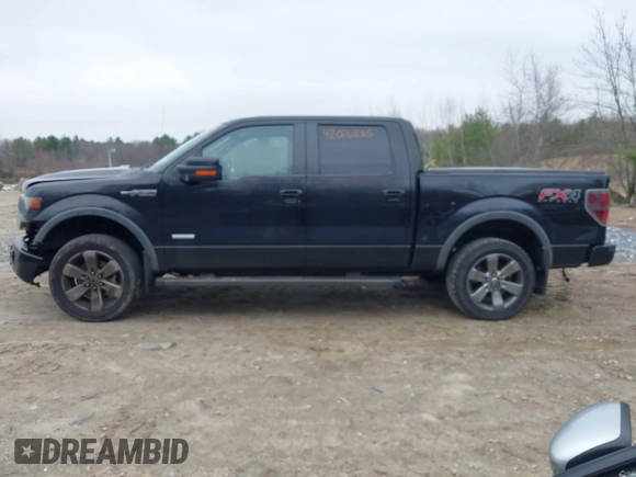 2013 Ford F-150 XL with VIN 1FTFW1ET0DFA97592, listed as a IAAI auction lot 42026885 with 165,091 mi miles. Bid and sale history available at carsss.com. Image 14.