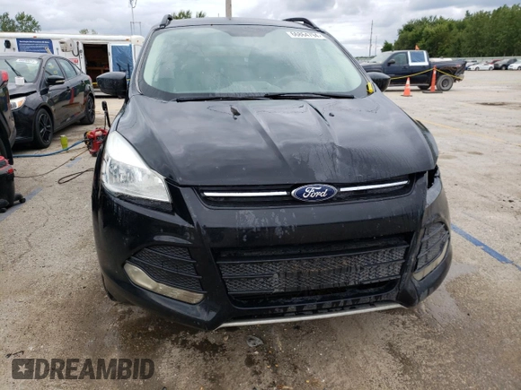 2014 Ford Escape SE with VIN 1FMCU9G99EUE48159, listed as a Copart auction lot 66864794 with 175,990 mi miles and Salvage Title. Bid and sale history available at DreamBid. Image 5.