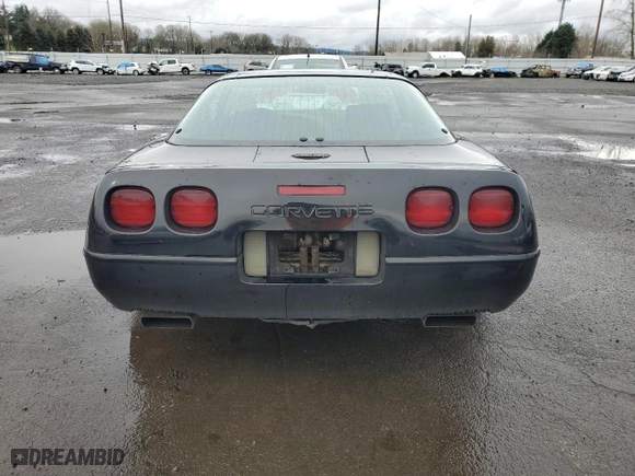 1993 Chevrolet Corvette with VIN 1G1YY23P3P5100843, listed as a Copart auction lot 48970785 with 139,851 mi miles and Salvage Title. Bid and sale history available at carsss.com. Image 6.