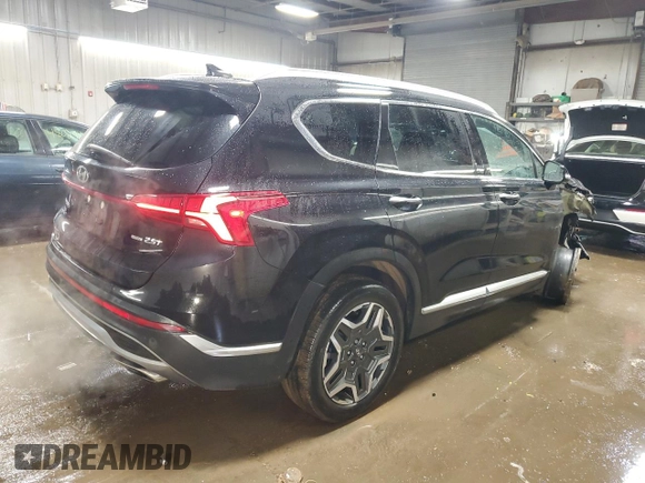 2022 Hyundai Santa Fe Limited with VIN 5NMS4DAL8NH386932, listed as a Copart auction lot 47879365 with 39,766 mi miles and Salvage Title. Bid and sale history available at carsss.com. Image 3.