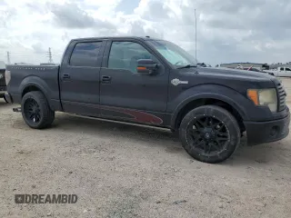 2010 Ford F-150 with VIN 1FTEW1CV2AFA87688, listed as a Copart auction lot 55324715 with 262,569 mi miles and Clean title. Bid and sale history available at DreamBid. Image 4.