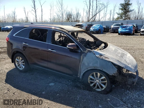 2016 Kia Sorento LX with VIN 5XYPGDA37GG058458, listed as a Copart auction lot 54210075 with Not Provided miles and Salvage Title. Bid and sale history available at DreamBid. Image 4.