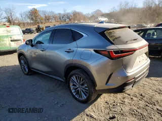 2023 Lexus NX with VIN 2T2GKCEZ9PC010474, listed as a Copart auction lot 80262214 with 26,500 mi miles and Salvage Title. Bid and sale history available at carsss.com. Image 2.
