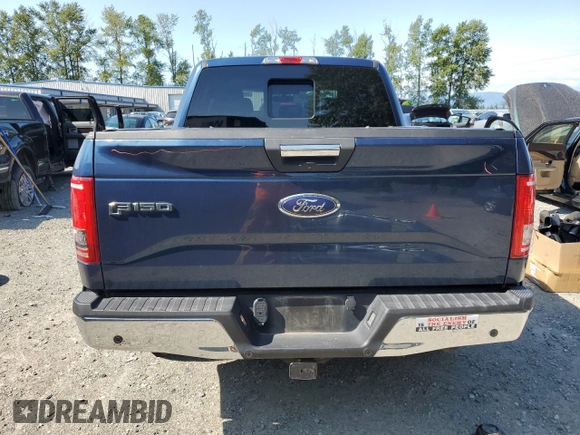 2015 Ford F-150 XLT with VIN 1FTEW1EP7FKE12574, listed as a Copart auction lot 59519985 with 133,337 mi miles and Salvage title. Bid and sale history available at DreamBid. Image 6.
