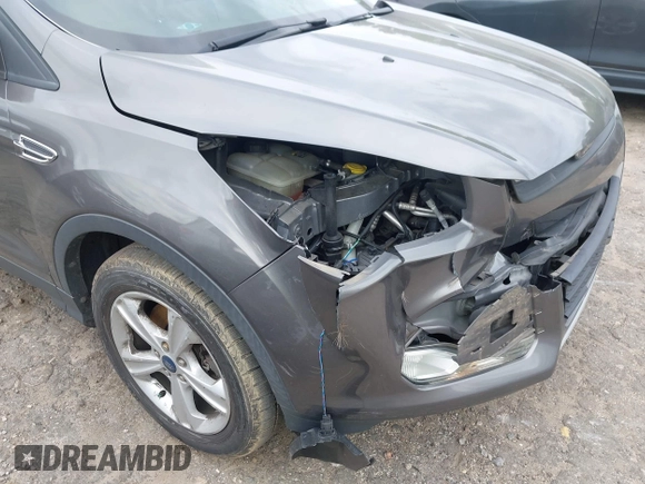 2013 Ford Escape SE with VIN 1FMCU9GX4DUC98328, listed as a IAAI auction lot 41956249 with 114,195 mi miles and . Bid and sale history available at DreamBid. Image 6.