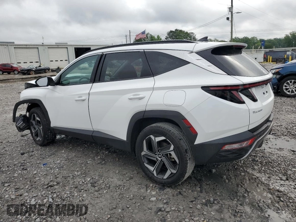2023 Hyundai Tucson Limited with VIN 5NMJECAEXPH201688, listed as a Copart auction lot 56013095 with 36,018 mi miles and Salvage title. Bid and sale history available at DreamBid. Image 2.