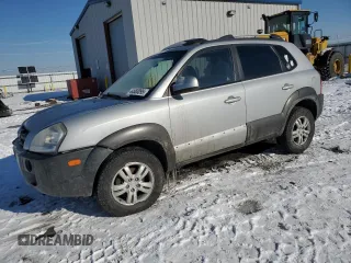 2008 Hyundai Tucson SE with VIN KM8JN72D28U812785, listed as a Copart auction lot 44583095 with 207,214 mi miles and Salvage Title. Bid and sale history available at carsss.com. Image 1.