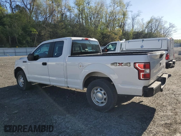 2019 Ford F-150 XL with VIN 1FTEX1EBXKKD48056, listed as a Copart auction lot 54508615 with 197,946 mi miles and Clean Title. Bid and sale history available at DreamBid. Image 2.