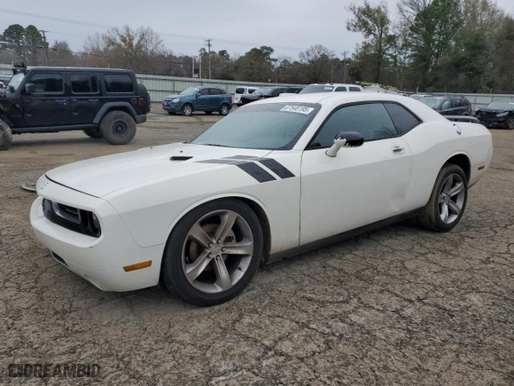 2009 Dodge Challenger SE with VIN 2B3LJ44V59H599575, listed as a Copart auction lot 87548195 with 229,216 mi miles and Salvage Title. Bid and sale history available at carsss.com. Image 1.