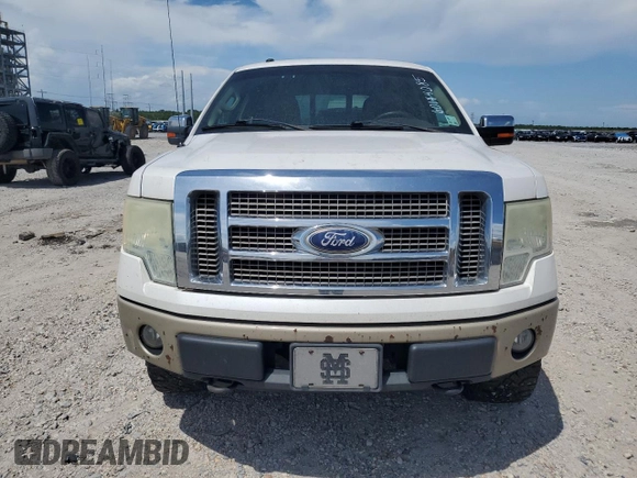 2010 Ford F-150 XL with VIN 1FTFW1EV5AKB58746, listed as a Copart auction lot 60144085 with Not provided miles and Salvage title. Bid and sale history available at DreamBid. Image 5.