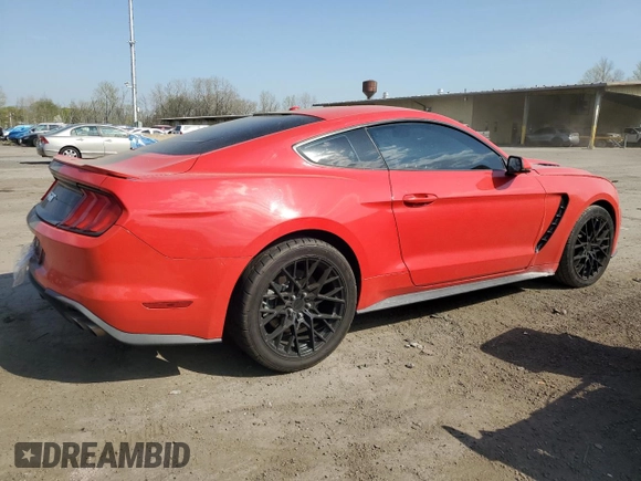 2019 Ford Mustang GT with VIN 1FA6P8CF9K5194625, listed as a Copart auction lot 53891025 with 24,931 mi miles and Salvage title. Bid and sale history available at DreamBid. Image 3.