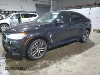 2016 BMW X6 M with VIN 5YMKW8C52G0R43425, listed as a Copart auction lot 46074405 with 115,740 mi miles and Salvage Title. Bid and sale history available at carsss.com. Image 1.