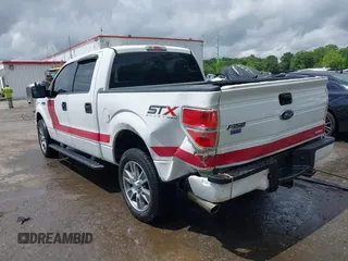 2014 Ford F-150 XL with VIN 1FTFW1EF9EFC63944, listed as a IAAI auction lot 42214453 with 252,127 mi miles and . Bid and sale history available at DreamBid. Image 3.