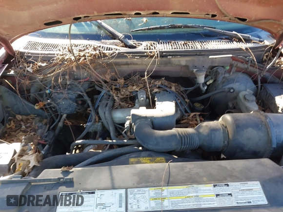 1999 Ford F-150 with VIN 1FTZF1722XKA76885, listed as a IAAI auction lot 41824733 with Not provided miles and . Bid and sale history available at DreamBid. Image 10.