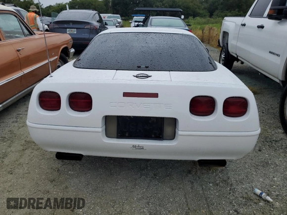 1995 Chevrolet Corvette z VIN 1G1YY22PXS5115866, wystawiony jako Copart lot #74983214 z przebiegiem Nie podano mil oraz Szkoda całkowita • Salvage title. Historia ofert i sprzedaży dostępna na DreamBid. Obrazek 6.