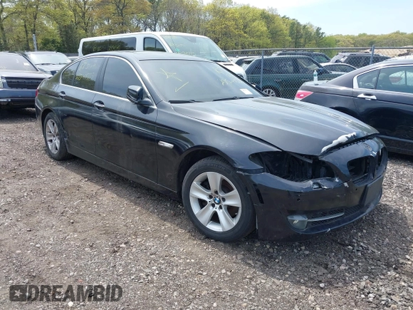 2013 BMW 5 Series 528i xDrive with VIN WBAXH5C55DDW15974, listed as a IAAI auction lot 42185094 with Not provided miles and . Bid and sale history available at DreamBid. Image 1.