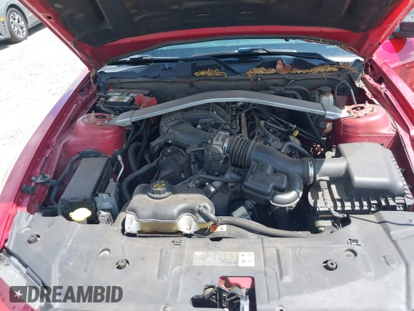 2013 Ford Mustang V6 with VIN 1ZVBP8EM6D5281421, listed as a IAAI auction lot 42387458 with 212,759 mi miles and . Bid and sale history available at DreamBid. Image 10.