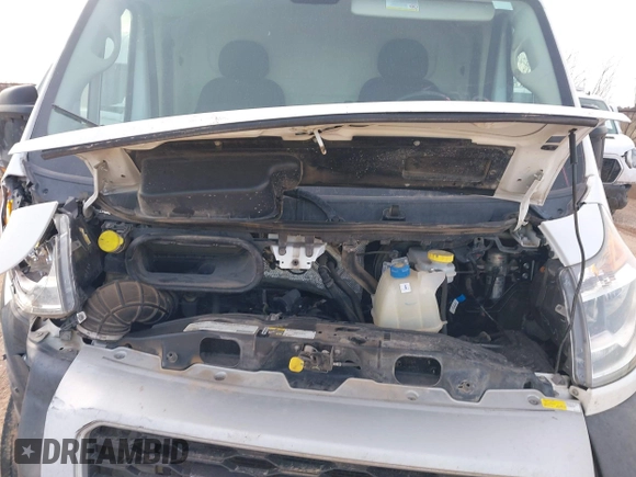 2019 Ram ProMaster Cargo with VIN 3C6TRVCG6KE522772, listed as a IAAI auction lot 41570518 with 117,422 mi miles and . Bid and sale history available at DreamBid. Image 10.