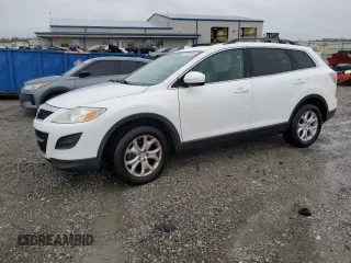 2011 Mazda CX-9 Touring with VIN JM3TB2CA9B0310617, listed as a Copart auction lot 52172815 with 313,688 mi miles and Salvage Title. Bid and sale history available at DreamBid. Image 1.