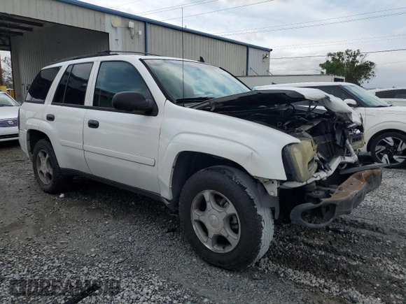 2007 Chevrolet TrailBlazer LS with VIN 1GNDS13S972249403, listed as a Copart auction lot 52070115 with 195,419 mi miles and Salvage Title. Bid and sale history available at DreamBid. Image 4.