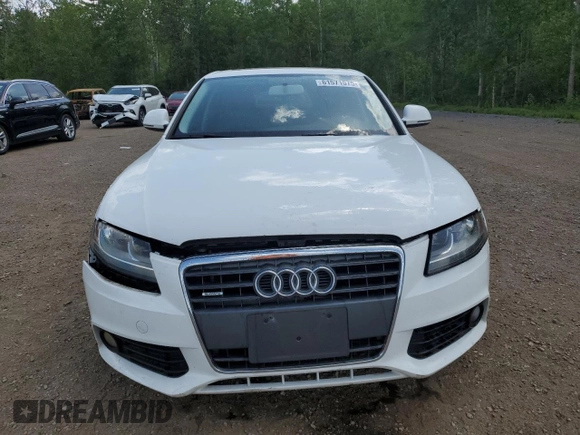 2009 Audi A4 with VIN WAULF68K59N025039, listed as a Copart auction lot 61571575 with Not provided miles and Salvage title. Bid and sale history available at DreamBid. Image 5.