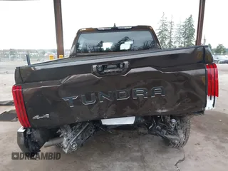 2023 Toyota Tundra Limited with VIN 5TFJA5DB9PX125400, listed as a IAAI auction lot 41336129 with 12,384 mi miles and . Bid and sale history available at DreamBid. Image 17.
