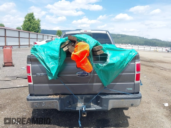 2010 Ford F-150 XL with VIN 1FTFW1EV3AFD14579, listed as a IAAI auction lot 42598587 with 196,758 mi miles and . Bid and sale history available at DreamBid. Image 16.