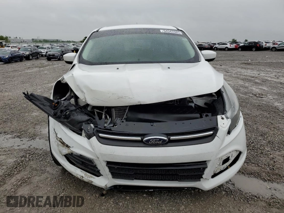 2013 Ford Escape SE with VIN 1FMCU9GX7DUA24721, listed as a Copart auction lot 54543385 with 203,036 mi miles and Salvage title. Bid and sale history available at DreamBid. Image 5.