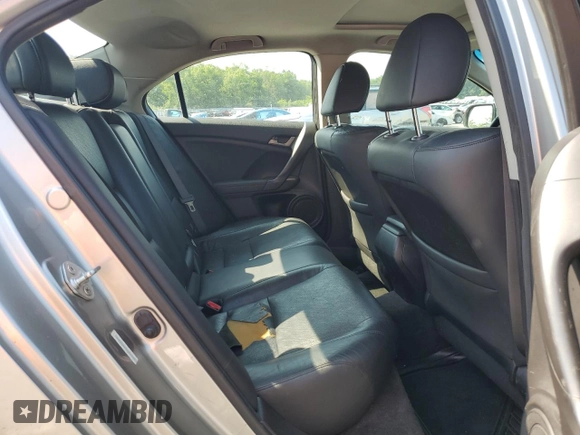 2010 Acura TSX with VIN JH4CU2F62AC023206, listed as a Copart auction lot 62390285 with Not provided miles and Salvage title. Bid and sale history available at DreamBid. Image 10.