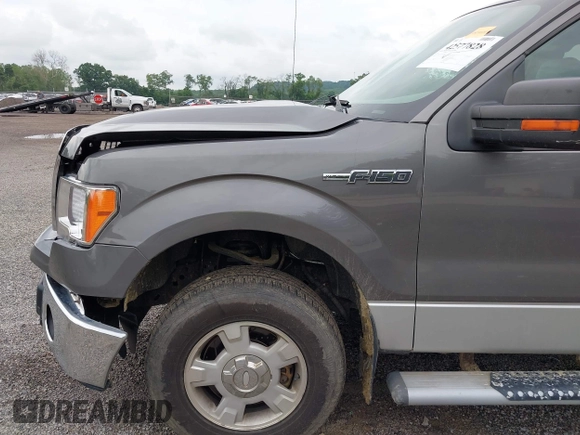 2013 Ford F-150 XL with VIN 1FTFX1EF3DFA21422, listed as a IAAI auction lot 42577828 with 185,203 mi miles and . Bid and sale history available at DreamBid. Image 19.